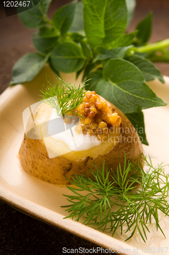 Image of Baked potato with sour cream, grain Dijon mustard and herbs