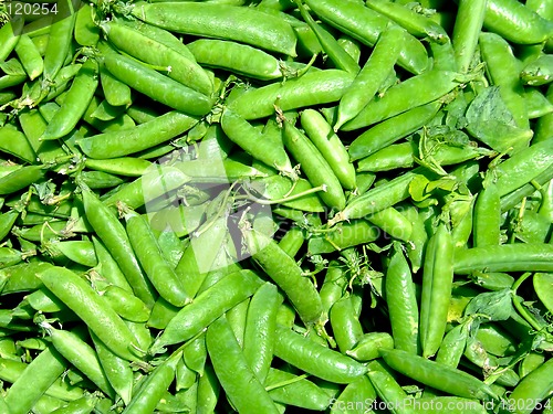 Image of Beans peas