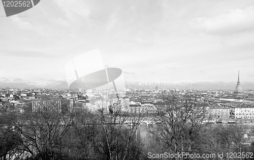 Image of Turin view