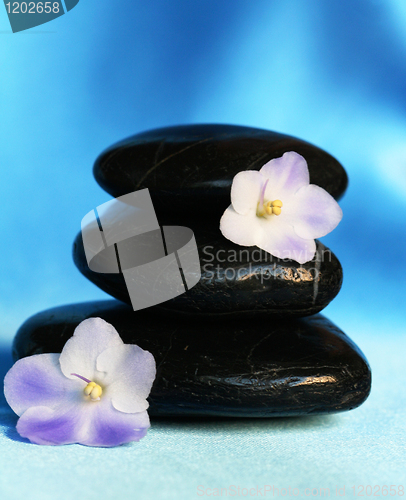 Image of Spa stones with flowers on blue silk background