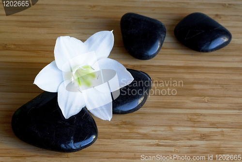Image of Spa black stones with white flower 