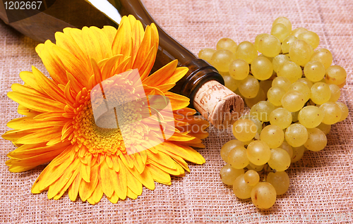 Image of Wine bottle with flower and grapes branch