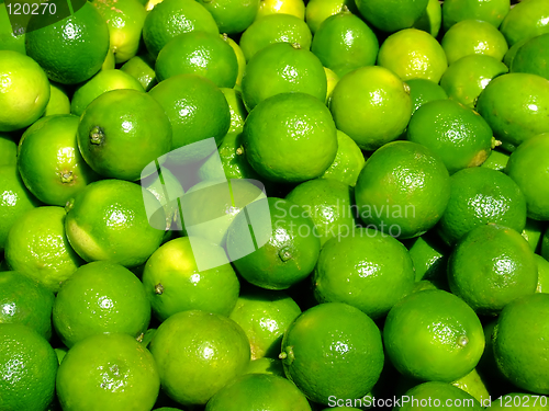 Image of Lime