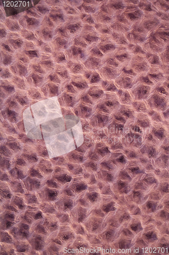 Image of Pink wool background