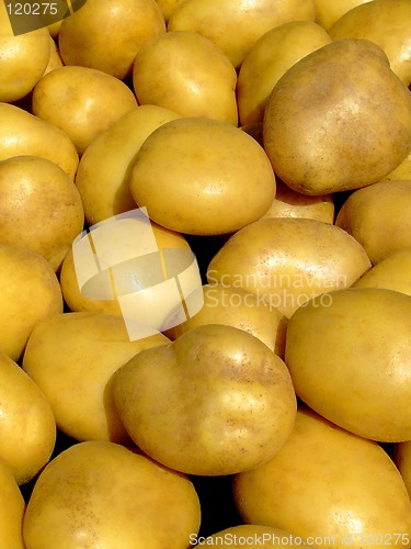 Image of Potato