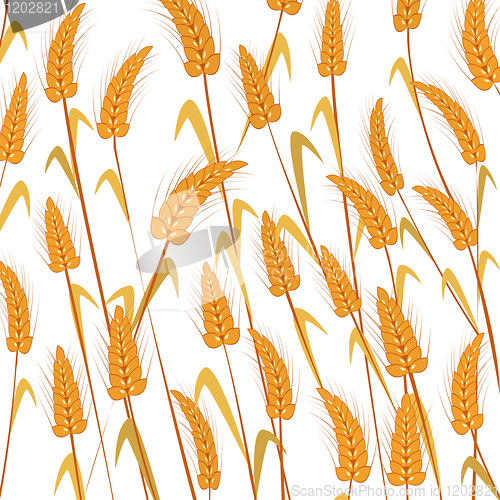 Image of Wheat background