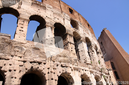 Image of The Colosseum in Rome, Italy