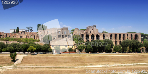 Image of Ruins of Palatine hill palace in Rome, Italy