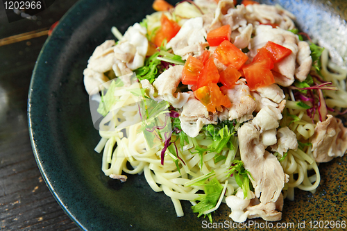 Image of japanese cold noodle with pork