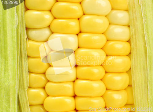 Image of corn