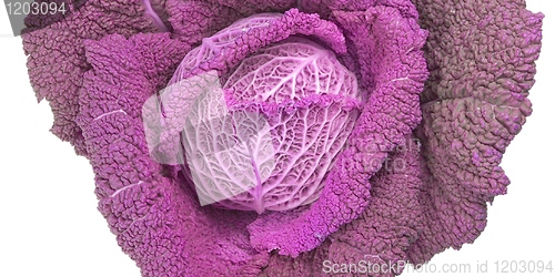 Image of Red cabbage