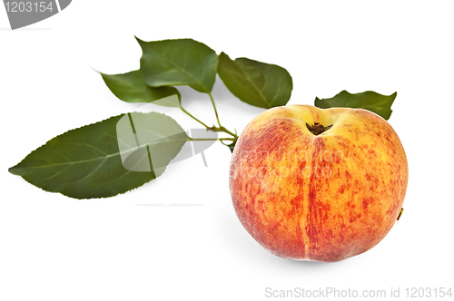 Image of Peach with green leaves