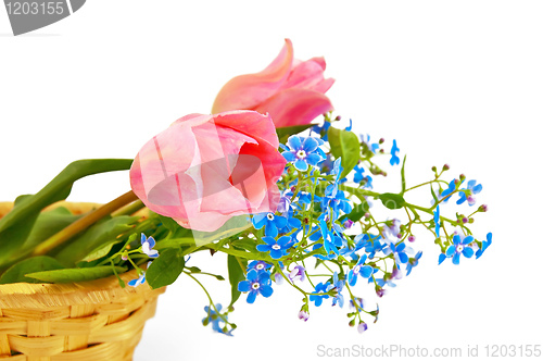 Image of Pink tulips in a basket