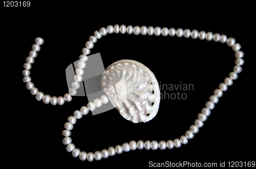 Image of White pearls and nacreous cockleshell on the black velvet