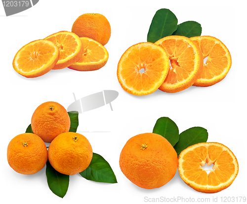 Image of Tangerines