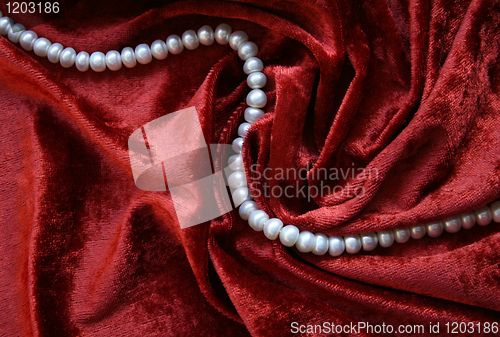 Image of Necklace of white pearls on a terracotta velvet 