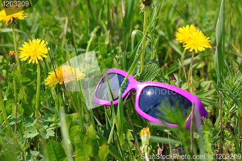 Image of sunglasses in green grass with dandelions