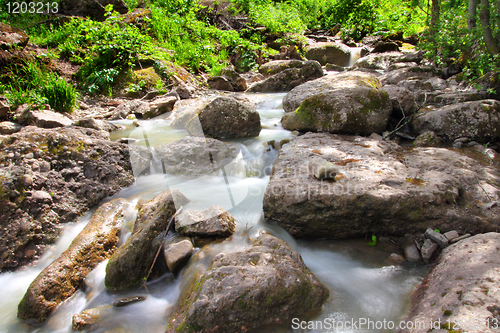 Image of waterfall in summer woods