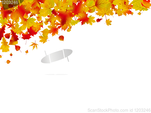 Image of Autumn card of colored leafs. EPS 8