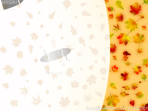 Image of Colorful autumn leaves card. EPS 8