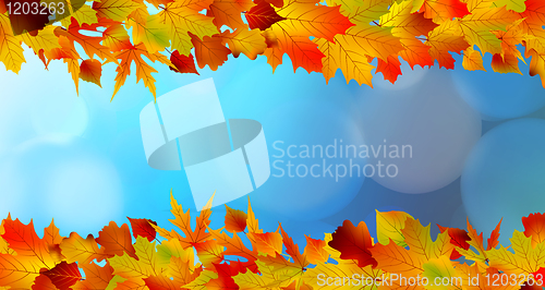 Image of Red and yellow leaves against a bright blue sky