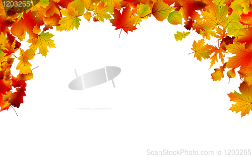 Image of Autumn colored leaves framing. EPS 8