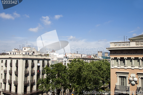 Image of rooftop architecture park trees Gothic La Rambla district Barcel