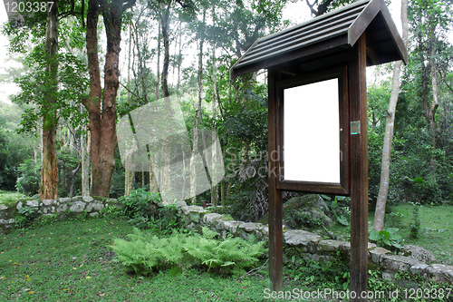 Image of advertising billboard in green forest 