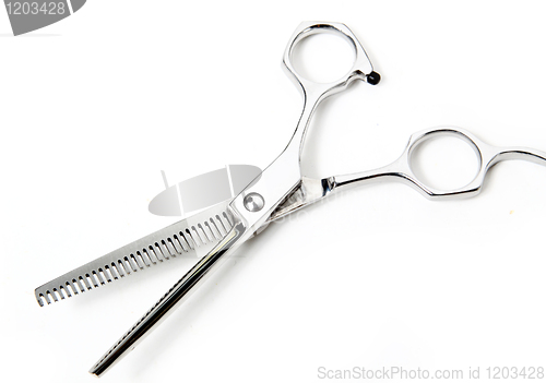 Image of Professional Haircutting Scissors. Studio isolation on white. 