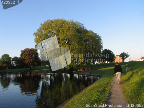 Image of Summer evening walk