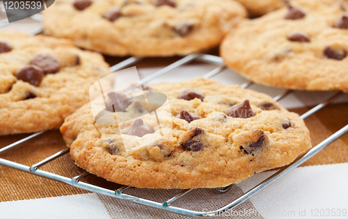 Image of Chocolate Chip Cookies