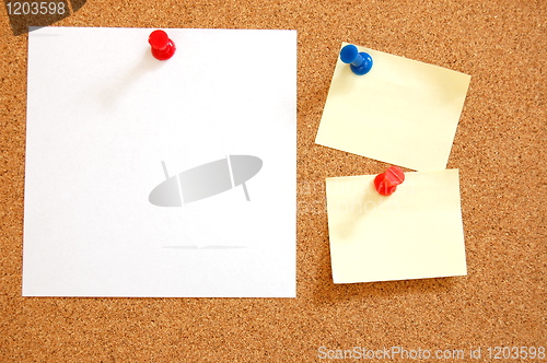 Image of blank sheet paper on bulletin board