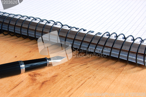 Image of fountain pen 