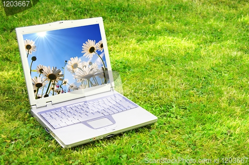 Image of laptop and flower