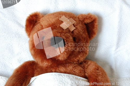 Image of sick teddy with injury in bed