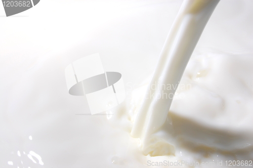 Image of splashing milk