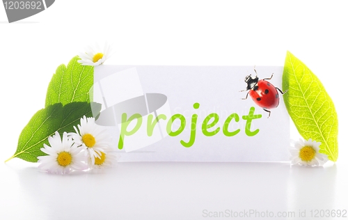 Image of project