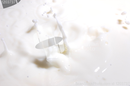 Image of milk splash