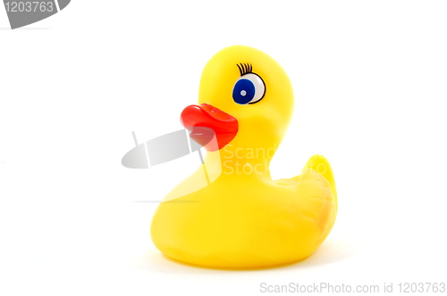 Image of toy rubber duck 