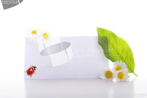 Image of paper