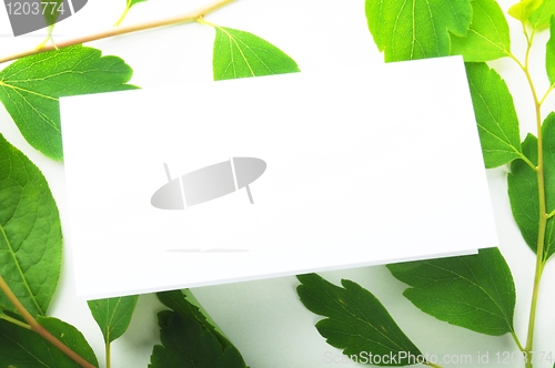 Image of paper