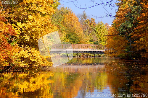 Image of fall in the park with green trees under blue sky