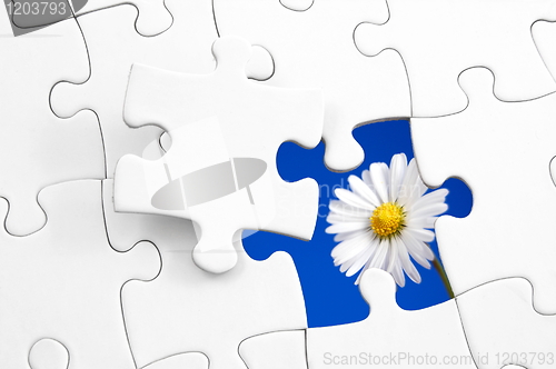 Image of puzzle and flower