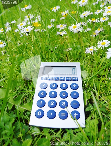 Image of ecological accounting
