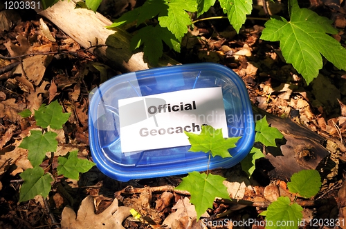 Image of official geocache