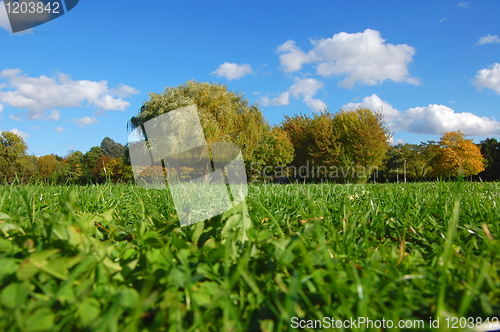 Image of forest and garden under blue sky at fall