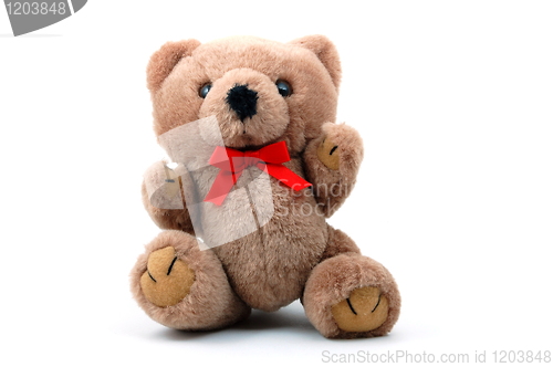 Image of teddy bear isolated on white background