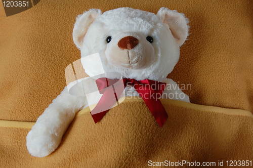Image of sick teddy