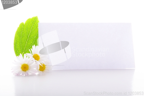 Image of paper