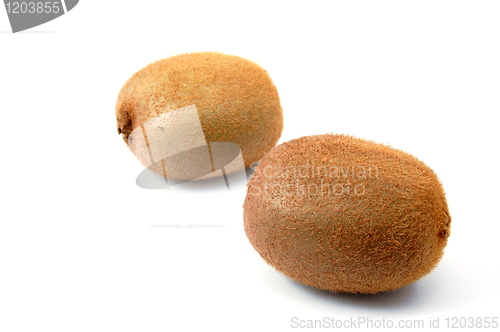 Image of kiwi fruit isolated on white background